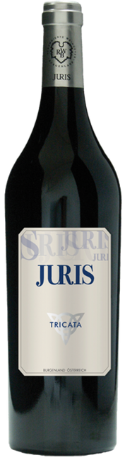 Image of Juris-Stiegelmar Axel und Herta Blaufränkisch Tricata - 150cl - Burgenland, Österreich bei Flaschenpost.ch