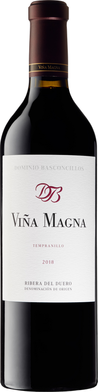 Bottiglia di Vina Magna Ribera Del Duero Roble DOP di Dominio Basconcillos