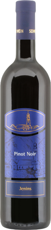 Bottiglia di Pinot Noir Jenins AOC Graubünden di Rutishauser-Divino