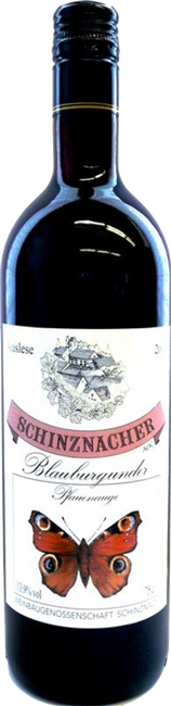 Image of WBG Schinznach Schinznacher Pinot Noir AOC - 75cl - Aargau, Schweiz bei Flaschenpost.ch