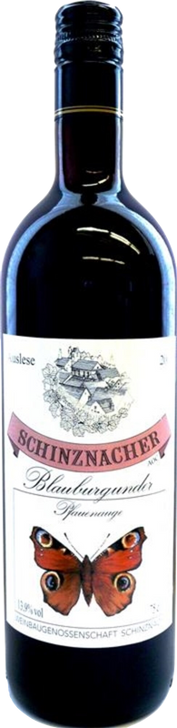 Flasche Schinznacher Pinot Noir AOC von WBG Schinznach