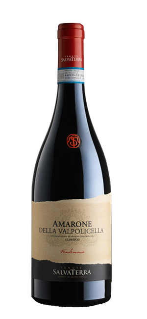 Image of Tenuta SalvaTerra Amarone della Valpolicella DOCG - 75cl - Veneto, Italien bei Flaschenpost.ch