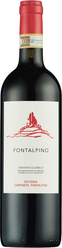 Bottiglia di Chianti Classico di Carpineta Fontalpino