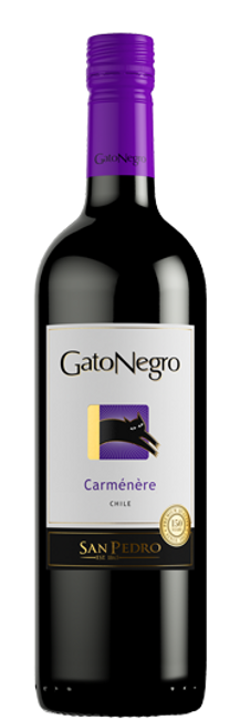 Image of San Pedro Gato Negro Carmenere - 75cl - Valle Central, Chile bei Flaschenpost.ch