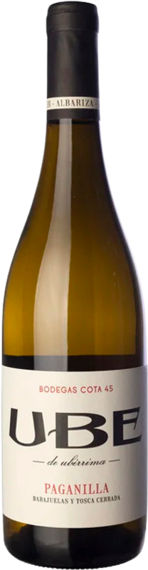 Bottle of UBE Paganilla from Cota 45