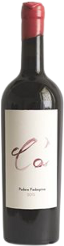 Bottle of Ca' Toscana IGT Merlot from Podere Fedespina