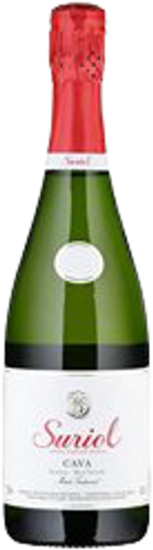 Flasche Cava Reserva Brut Nature DO Bio von Can Suriol del Castell