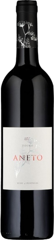 Flasche Tinto Aneto von Aneto