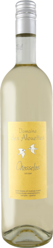 Bottiglia di Domaine des Alouettes Chasselas de Satigny AOC Jean-Daniel Ramu di Jean-Daniel Ramu