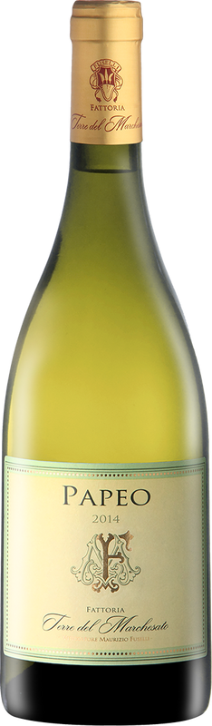 Bottle of PAPEO Bianco Toscana IGT Terre del Marchesato from Terre del Marchesato