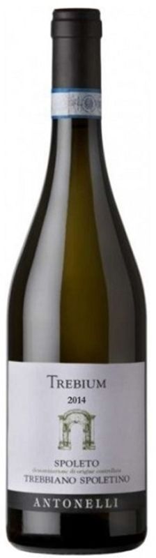 Flasche Trebium Trebbiano Spoletino DOC Antonelli von Antonelli