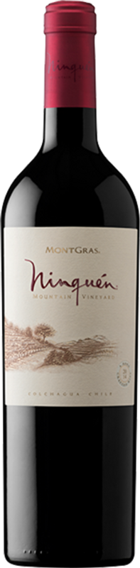 Flasche Ninquen Mountain Vineyard of Colchagua Valley Montgras von Montgras