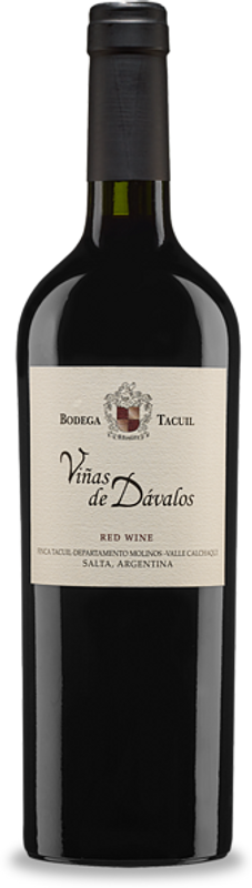 Flasche Viñas de Dávalos Valle Calchaqui Salta Bodega Tacuil von Bodega Tacuil