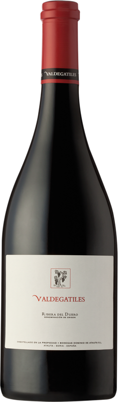 Flasche Valdegatiles DO Dominio de Atauta von Dominio de Atauta