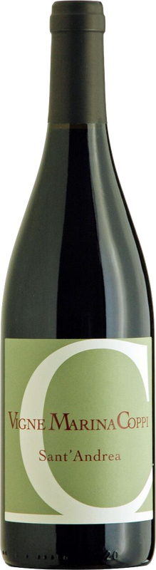 Flasche Sant'Andrea Colli Tortonesi Barbera DOC Vigne Marina Coppi von Vigne Marina Coppi