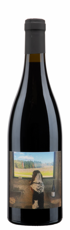 Flasche Dão DOC Tobias Tinto Alvaro Castro von Alvaro Castro