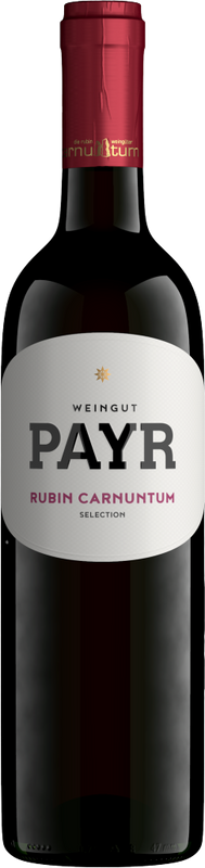Flasche Zweigelt Rubin Carnuntum Qualitätswein Weingut Payr von Weingut Payr