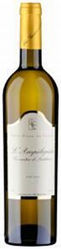 Flasche Pinot blanc du Valais AOC L'Ampélopsis Cave Emery von Cave Emery