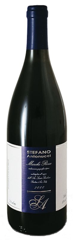 Flasche Stefano ANTONUCCI ROSSO Marche Rosso IGT Santa Barbara von Santa Barbara