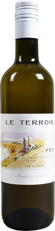 Flasche Féchy Le Terroir Hammel SA von Hammel SA