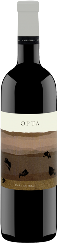 Flasche Opta DO Bodegas Uribes Madero von Bodegas Uribes Madero