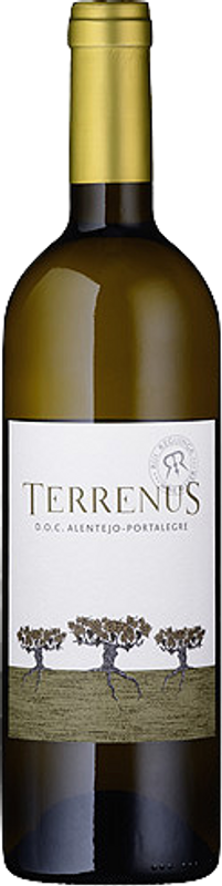 Bouteille de Terrenus Branco Rui Reguinga Enologia Lda de Rui Reguinga Enologia Lda