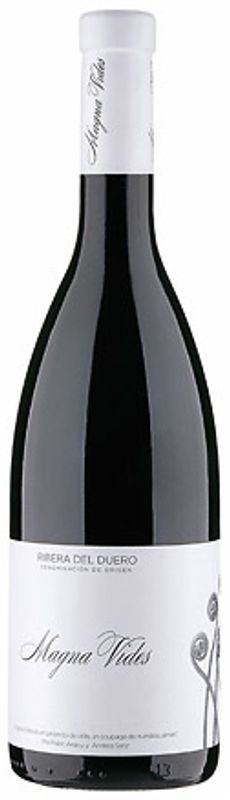 Bottle of Ribera del Duero DO Magna Vides from Magna Vides