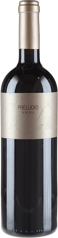 Image of Sei Solo Tinto Cosecha Bodegas Sei Solo - 2013 - Duero-Tal (Castilla y Leon), Spanien