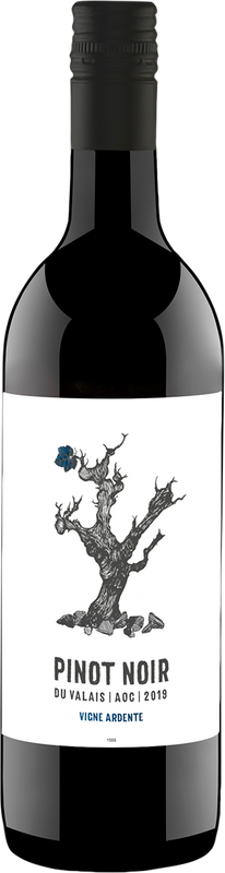 Bottiglia di Vigne Ardente Pinot Noir Valais AOC Délival di Délival
