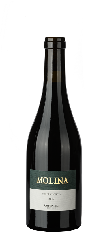 Flasche Molina AOC Cottinelli von Cottinelli