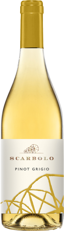 Flasche Pinot Grigio Grave del Friuli DOC Scarbolo - Le Fredis von Scarbolo - Le Fredis
