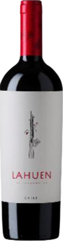 Bottle of Lahuen Terra Noble from Terra Noble
