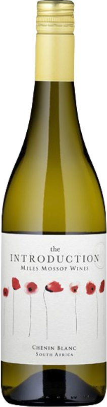 Flasche Introduction Chenin Blanc Miles Mossop Wines von Miles Mossop Wines