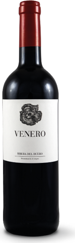 Flasche Venero DO Encina von Encina
