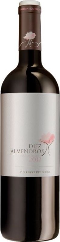 Bottiglia di Diez Almendros Ribera del Duero DO Vega Clara di Vega Clara