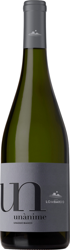 Flasche Terre Siciliane IGP Unànime Bianco Cantina Lombardo von Cantina Lombardo