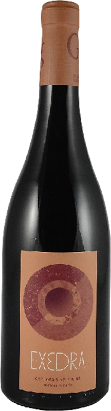 Bottle of Exedra DO Bodegas Puiggros from Bodegas Puiggros
