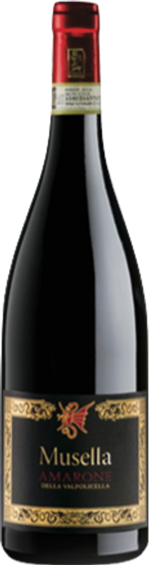 Flasche Amarone della Valpolicella DOC Etichetta Nera Musella von Musella