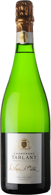 Flasche Tarlant La Vigne d'Antan Tarlant von Tarlant