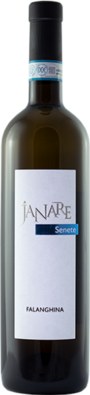 Flasche Falanghina del Sannio DOP Senete La Guardiense von La Guardiense