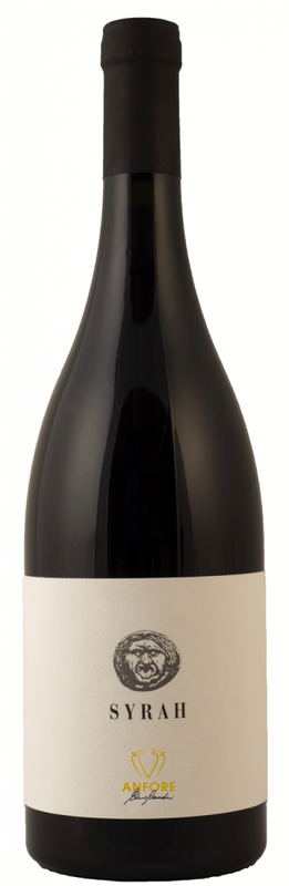 Bottiglia di Syrah Anfora Toscano IGT Le Anfore di Elena Casadei di Le Anfore di Elena Casadei
