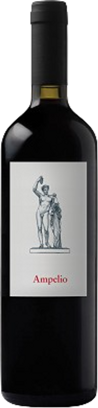 Flasche Ampelio Ticino DOC Chiodi Ascona SA von Chiodi Ascona SA