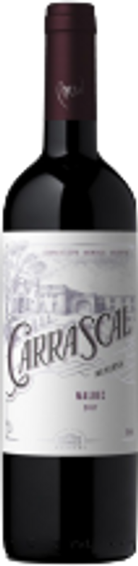 Flasche Carrascal Malbec Bodega Weinert von Bodega Weinert
