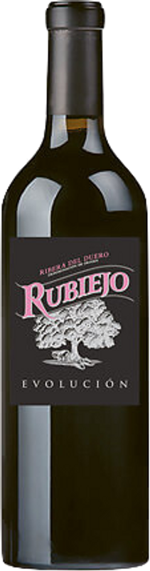 Flasche Ribera del Duero DO Evolucion Bodega Alto Sotillo von Bodega Alto Sotillo