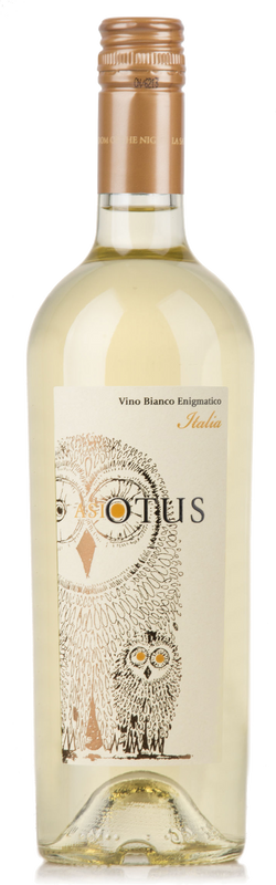Flasche Asio Otus Bianco Vino d'Italia Mondo del Vino von Mondo del Vino