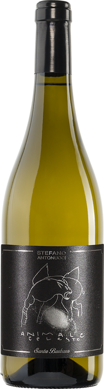 Flasche Animale Celeste Sauvignon Blanc Santa Barbara von Santa Barbara