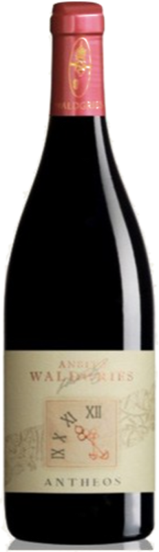 Flasche St. Magdalener Classico Antheos Ansitz Waldgries von Ansitz Waldgries