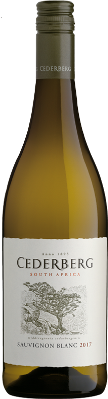 Bottiglia di Cederberg Sauvignon Blanc Cederberg di Cederberg