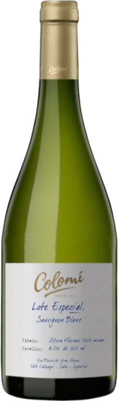 Flasche Sauvignon Blanc Altura Maxima Bodega Colomé von Bodega Colomé