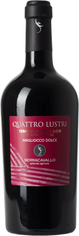 Terre Di Cosenza DOP Quattro Lustri Serracavallo - 2023 - Kalabrien, Italien